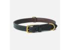 Why a Leather Dog Collar Is a Smart Choice for Your Pet