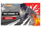 Tiger Exchange 247: Playing Cricket Betting At Tiger Exchange 247