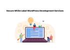 Secure White Label WordPress Development Services