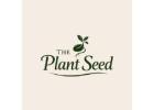 Spring Planting Seeds In Usa | Theplantseed.com