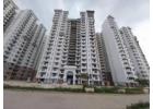 Premium 2 & 3 BHK Flats in Sector 37D Gurgaon
