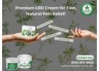 Experience Powerful Pain Relief with Our CBD Cream!