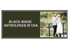 Black Magic Astrologer in Michigan