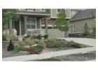 Drought Tolerant Landscaping Colorado to Transform Your Outdoor Space