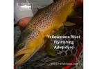 Ultimate Yellowstone River Fly Fishing Adventure - Explore Iconic Wild Waters