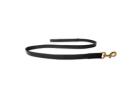 Why Choose a High-Quality Leather Dog Leash for Daily Walks