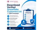 Download Verified Snowflake Customers List for B2B Campaigns
