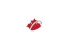 Intra Company Transfer Canada: 2026 Executive Guide