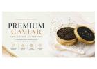 Premium Black Caviar at Great Prices