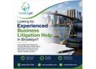 Looking for Experienced Business Litigation Help in Brooklyn?