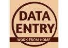 Today Us form filling Data Entry Project | Apply 7708244092