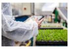 Inventory Management System for Commercial Plant Growers, Greenhouses & Nursery - SBI Software