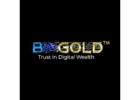 Is BINGOLD the Future of Digital Gold Investment?