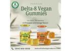 Premium Delta-8 Vegan Gummies for a Better CBD Experience