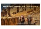 Complete guide on Elephant Village