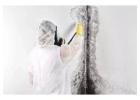 Mauldin 24 Hour Emergency Repair | Water, Fire & Mold Experts
