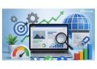 Best Ecommerce SEO Expert for Higher Online Store Growth