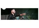 Traditional Irish Music Bands Inspired by Sean Carroll