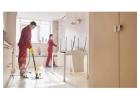 Expert Professional Cleaning Services in Lehigh Valley, PA