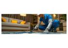Need Professional Carpet Cleaning in Adelaide? We’ve Got You Covered