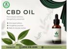CBD Oil for Everyday Wellness