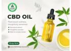 CBD Oil for Everyday Wellness