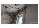 Piedmont Restoration | 24-Hour Water, Fire & Mold Remediation