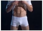 Cotton Pleated Shorts