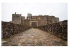 Leeds Castle from London with a Private Chauffeur Experience