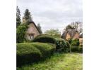 Private London Tours with Royal Landmarks and Local Culture