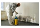 Easley Emergency Restoration Services | Water, Fire & Mold Repair