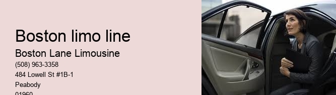 8 Passenger Limo Service