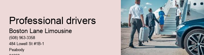 Professional Chauffeurs