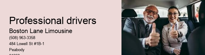 7 Passenger Limo