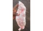 All Types Seafood Worldwide
