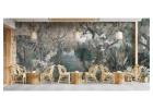 Explore a Diverse Range of Nature Wallpapers