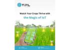 Iot Development 