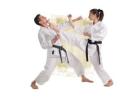 Taekwondo Training: Expert Martial Arts Classes for Kids and Adults