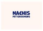 Mobile Dog Grooming Tampa | Easy, At-Home Care by Nachis