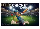 The Future of Cricket in India: How Reddy Book Club is Revolutionizing Sports Updates and Match Cove