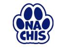 Top Pet Groomer in Tampa | Gentle & Skilled Care by Nachis