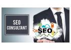 Hire Expert SEO Consultant in India – DigitalBerge