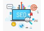 Best SEO Company in USA – DigitalBerge