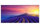 Xiaomi India's 2025 A Series Smart TV - Affordable Prices