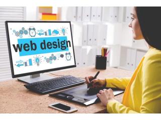 Professional Website Development Company in Delhi For Your Business Growth | Wall Communication Professional Website Development Company in Delhi For Your Business Growth | Wall Communication