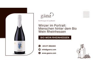 Winzer im Portrait: Menschen hinter dem Bio Wein Rheinhessen Winzer im Portrait: Menschen hinter dem Bio Wein Rheinhessen