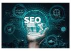 Miami SEO Company | Site It Now