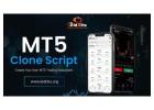 MT5 Clone Script Provider In USA