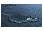 Wet Carpet Sydney Cleaning Services