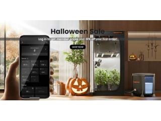 Gruselig gute Ernte-Deals! Gruselig gute Ernte-Deals!